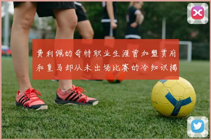 费利佩的奇特职业生涯曾加盟贾府和皇马却从未出场比赛的冷知识揭秘